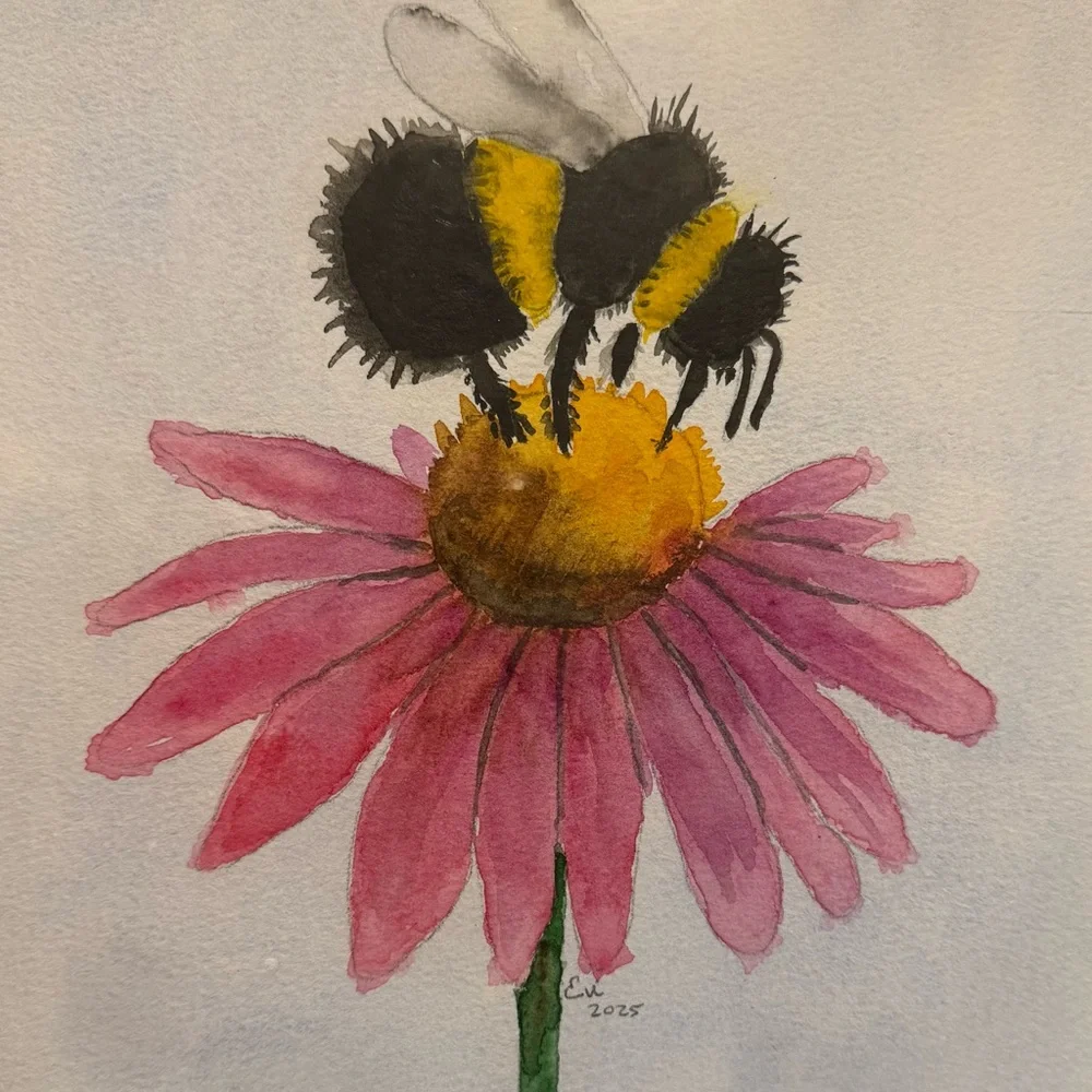 Bee and Flower watercolor original 8x10 local artist (aka my mom) 👩🎨 - Picture 2 of 3